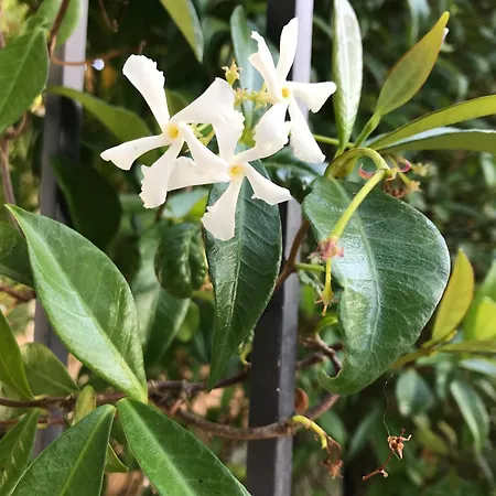 Дом отдыха La Surprise D'elie - Espace Et Calme Proche Plages - 3 *