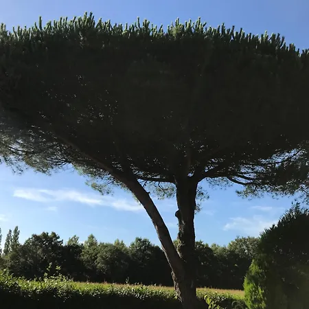 La Surprise D'elie - Espace Et Calme Proche Plages - 3 * La Boissiere-des-Landes