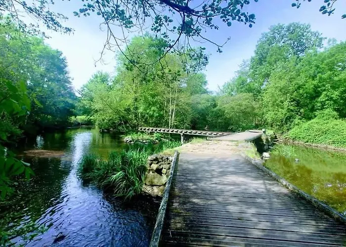 La Surprise D'elie Hébergement de vacances