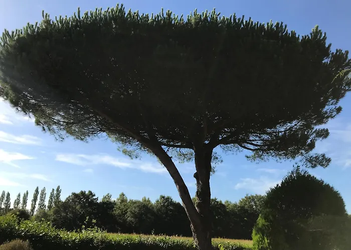 La Surprise D'elie * La Boissière-des-Landes