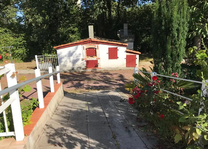 La Surprise D'elie *